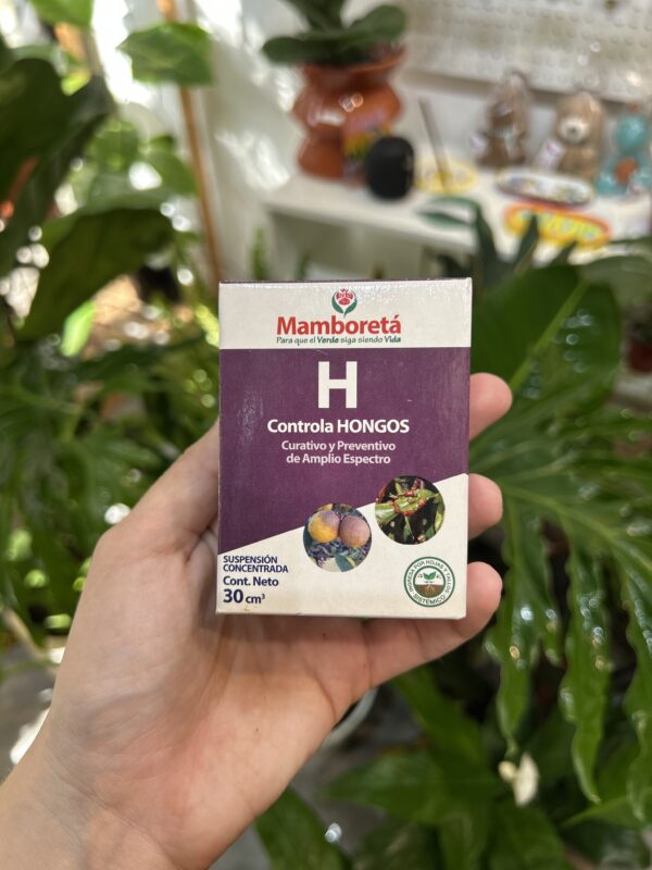 Mamboreta- H controla hongos