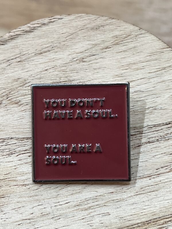 Pin You Dont Have a Soul You Are A Soul