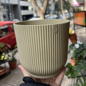 Maceta TA Rayada Beige 16