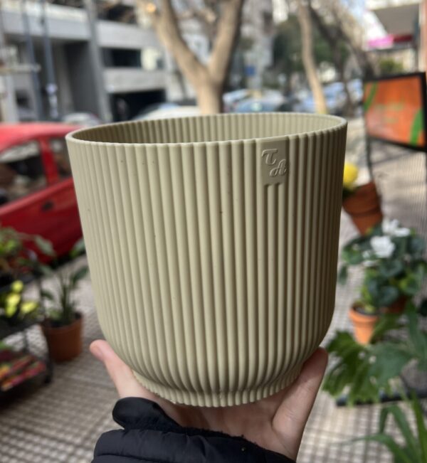 Maceta TA Rayada Beige 16