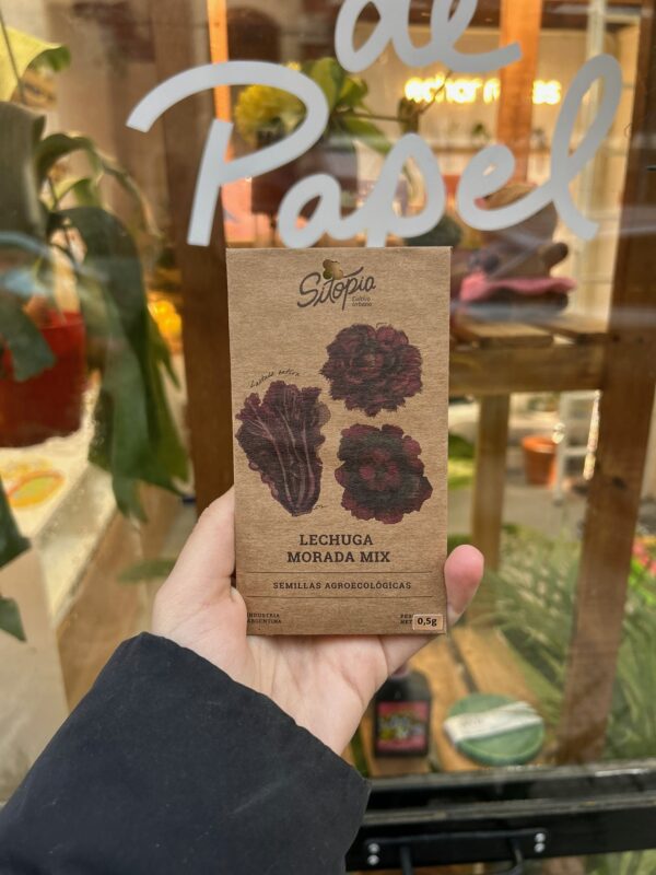 Semillas Lechuga Morada Mix
