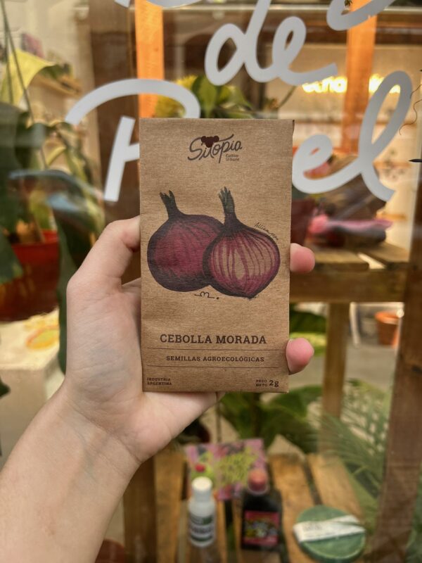 Semillas Cebolla Morada