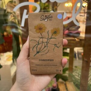 Coreopsis