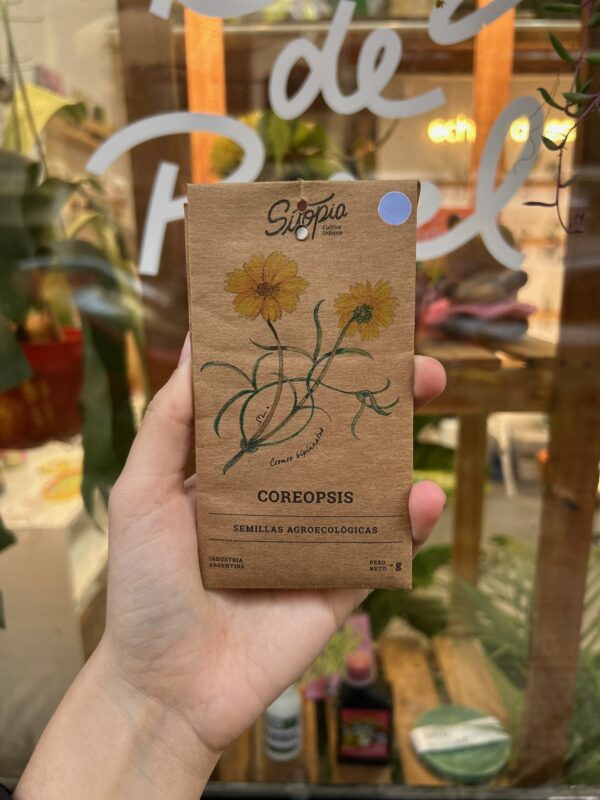 Coreopsis